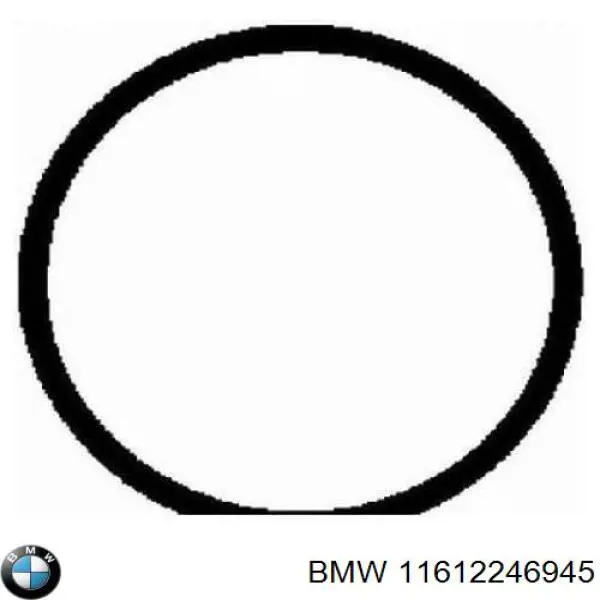 Vedante de tubo coletor de admissão BMW 11612246945
