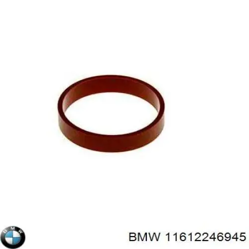 11612246945 BMW Vedante de tubo coletor de admissão