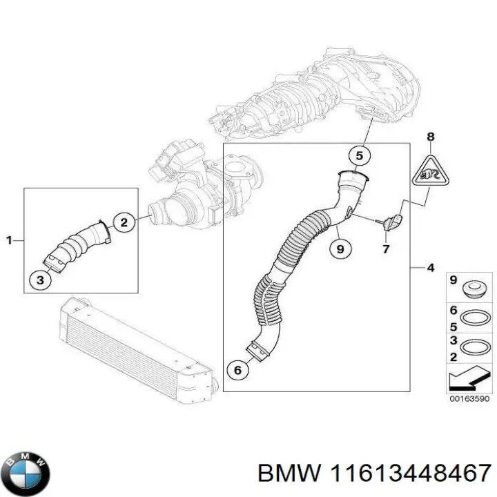 11613448467 BMW Tubo flexible de aire de sobrealimentación izquierdo original y equivalente