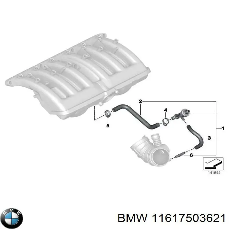  11617503621 BMW