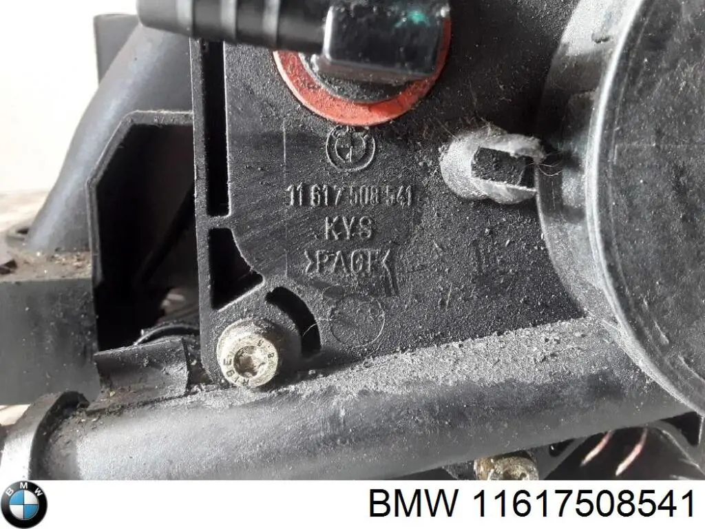 Клапан вентиляции картерных газов 11617508541 BMW
