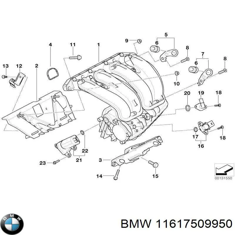 11617509950 BMW 