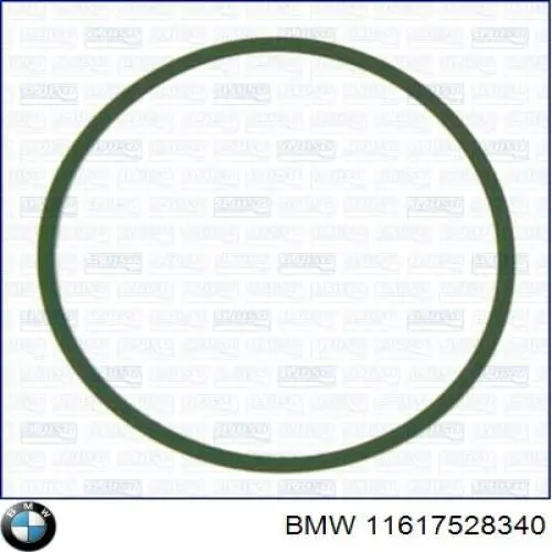 11617528340 BMW vedante de tubo coletor de admissão