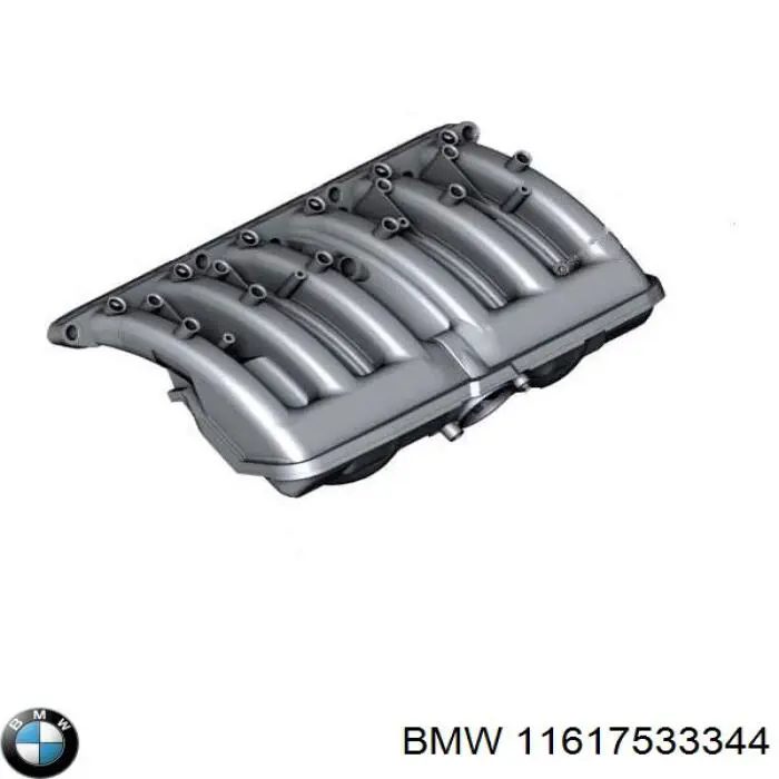  11617533344 BMW