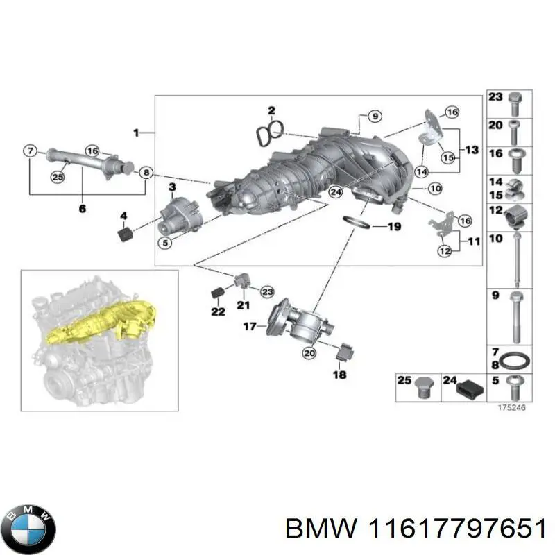 11617797651 BMW 