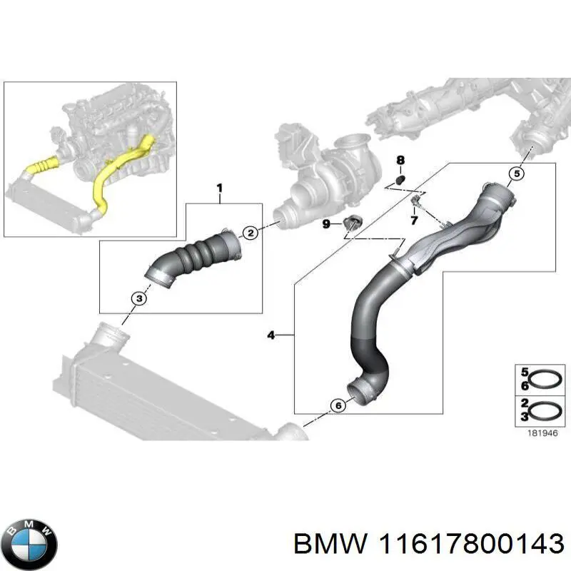 11617800143 BMW mangueira (cano derivado esquerda de intercooler)