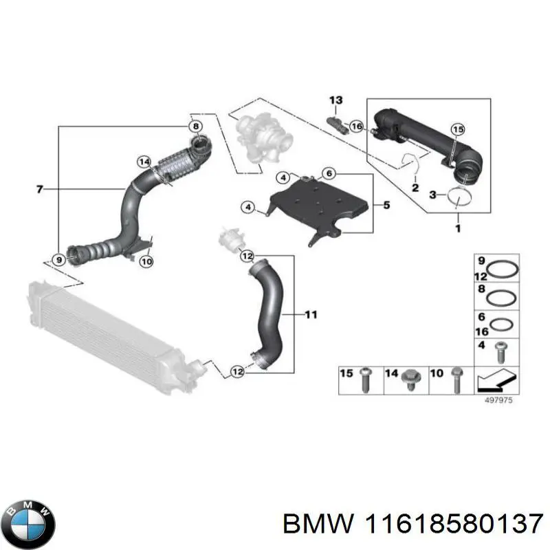11619888457 BMW 