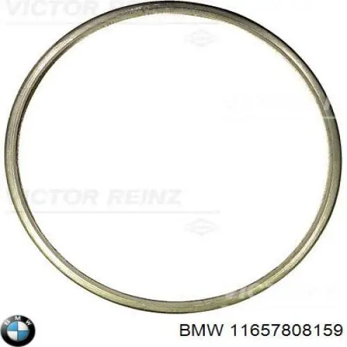 Прокладка турбины выхлопных газов, впуск BMW 11657808159 цена, от 18.11 USD