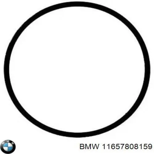 Купить 11657808159 BMW Прокладка турбины выхлопных газов, впуск