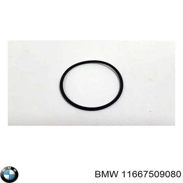 Прокладка вакуумного насосу 11667509080 BMW