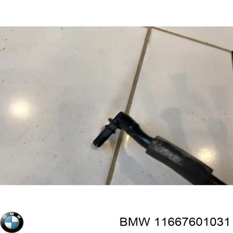  11667601031 BMW
