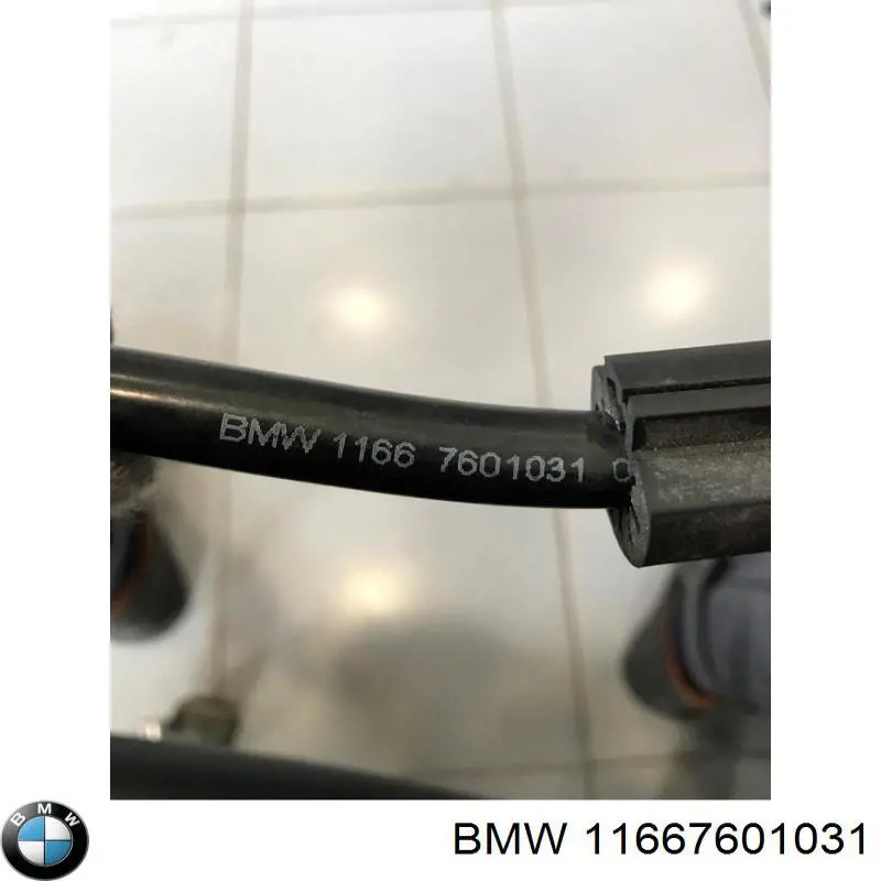  BMW 11667601031