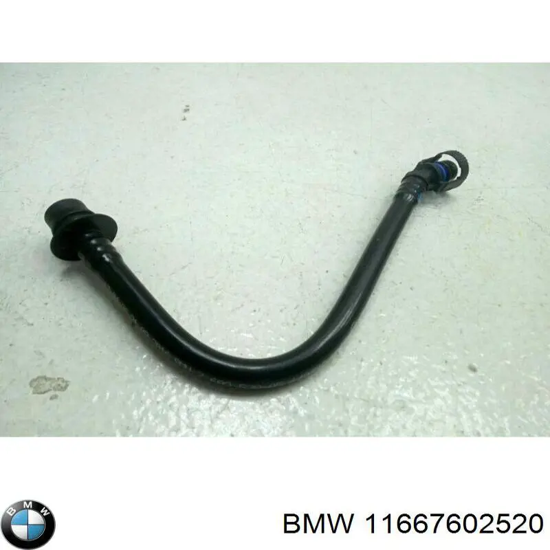 11667602520 BMW 