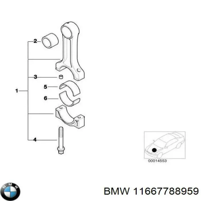 11667788959 BMW 