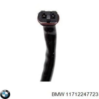 Termostato EGR 11712247723 BMW