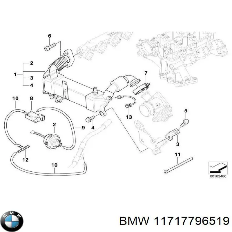 11717796519 BMW 