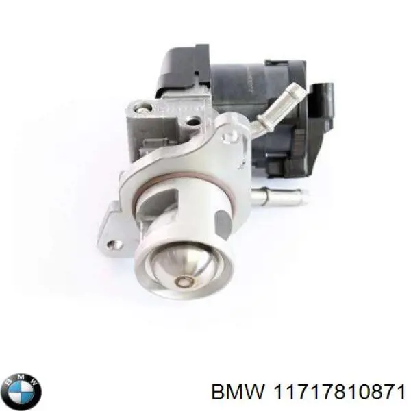 Compre 11717810871 BMW Válvula EGR de recirculação dos gases