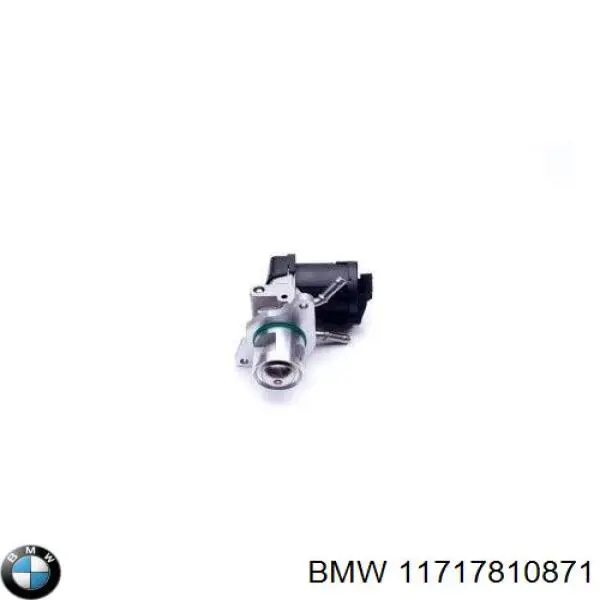 Compre 11717810871 BMW Válvula EGR de recirculação dos gases