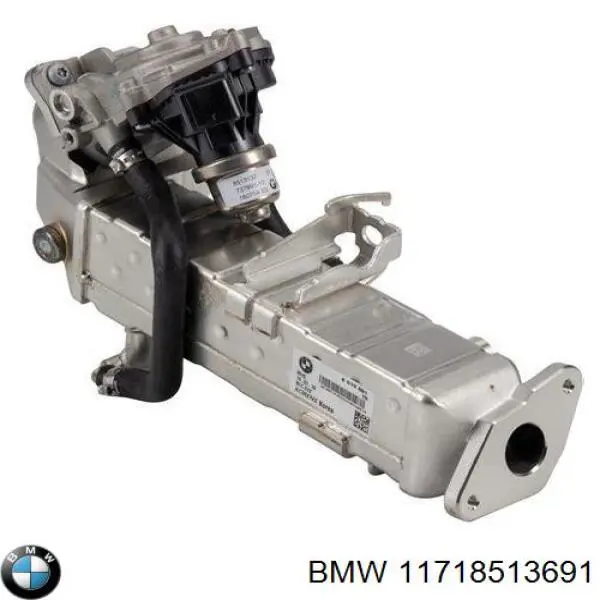 11718513691 BMW 