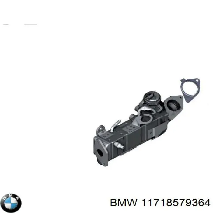 11718579364 BMW