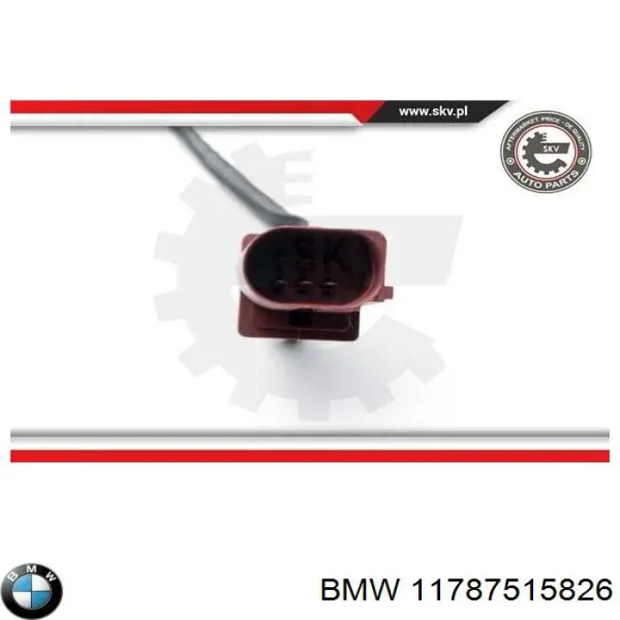  11787515826 BMW