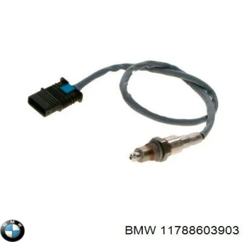 11788603903 BMW 