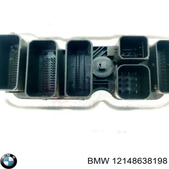 12148638198 BMW Мозги двигателя
