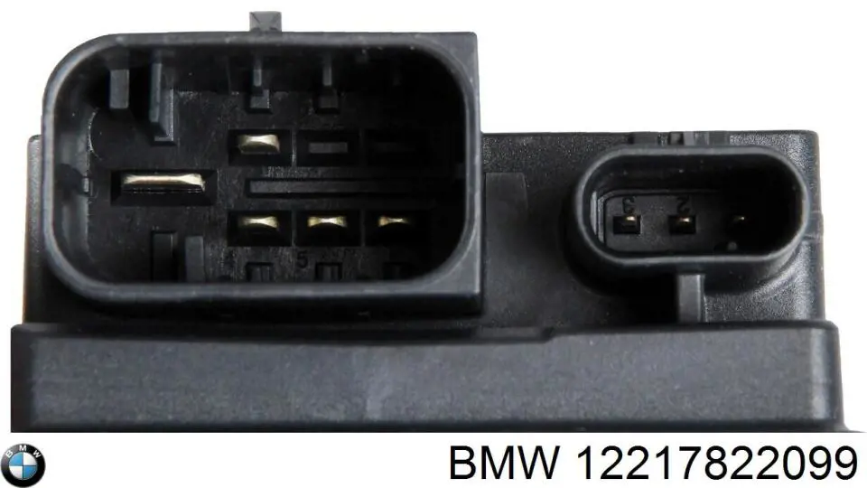 12217822099 BMW 