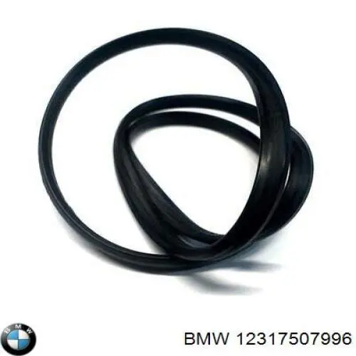 Прокладка (кольцо) генератора с водяным охлаждением на BMW X5 (E53) купить.