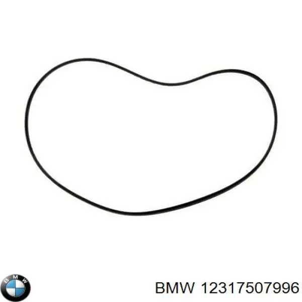 Junta (Anillo) Generador Refrigerado Por Agua 12317507996 BMW