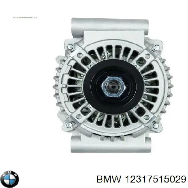 12317515029 BMW gerador