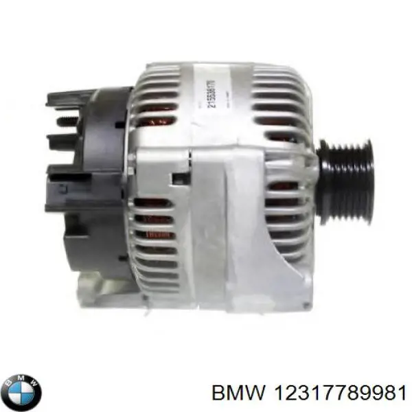 12317789981 BMW gerador