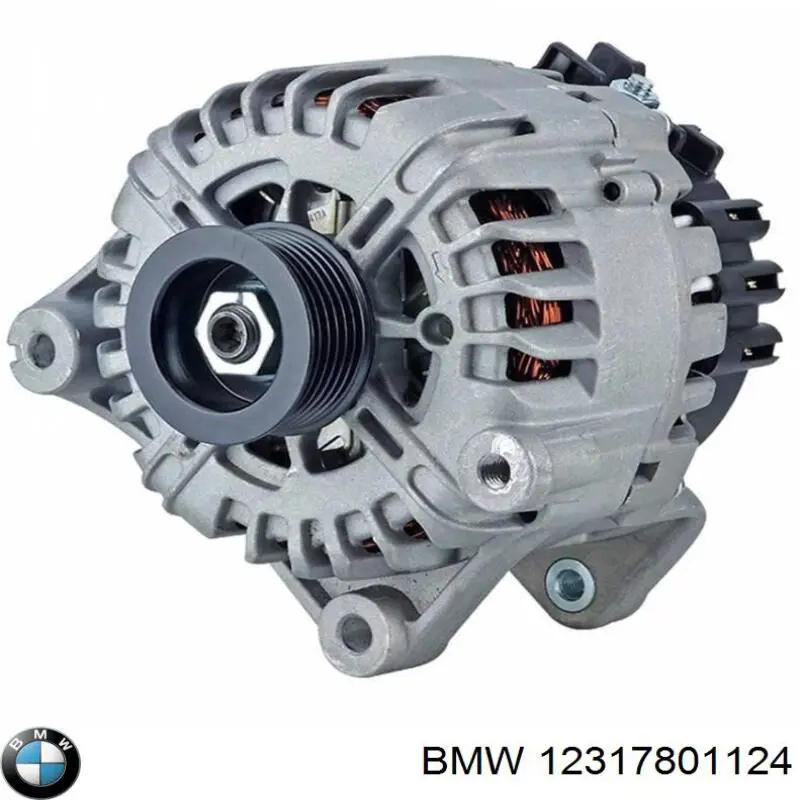 12317801124 BMW gerador