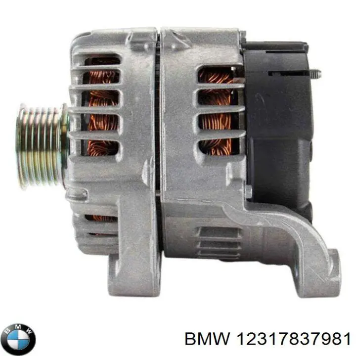 12317837981 BMW генератор