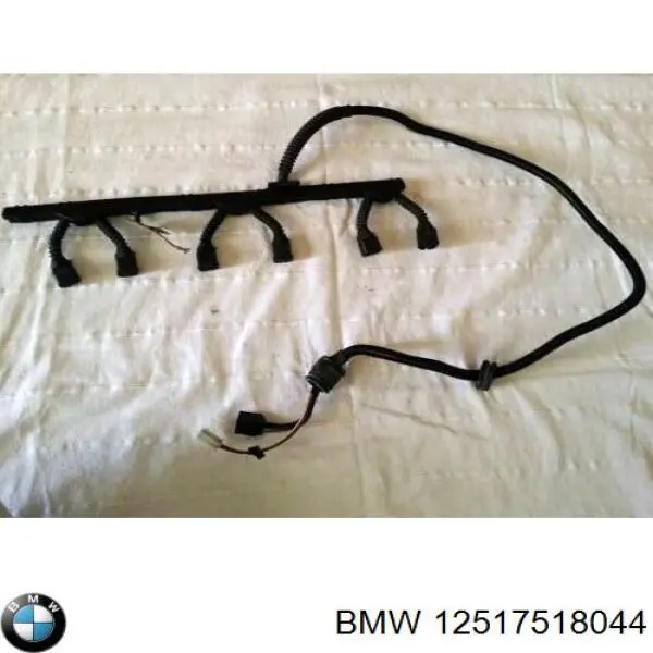  12517518044 BMW