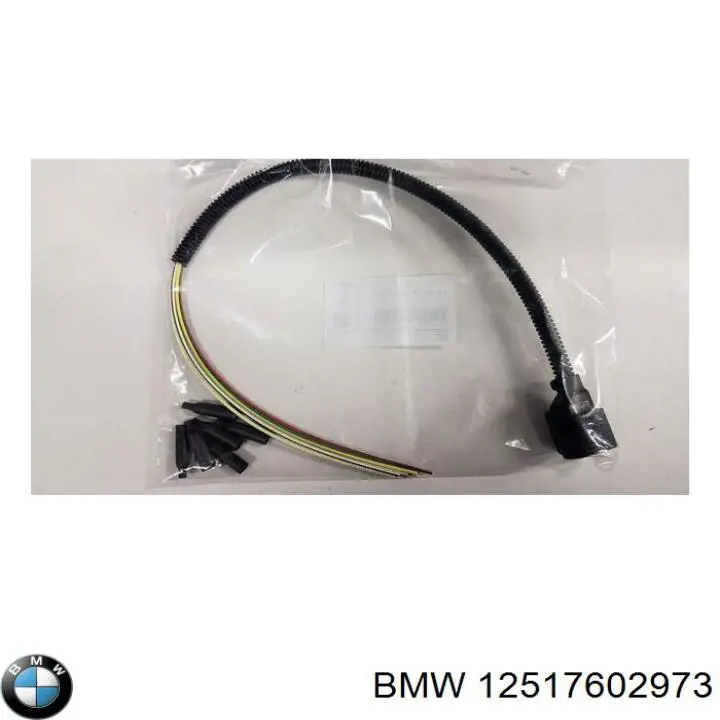 12517602973 BMW 