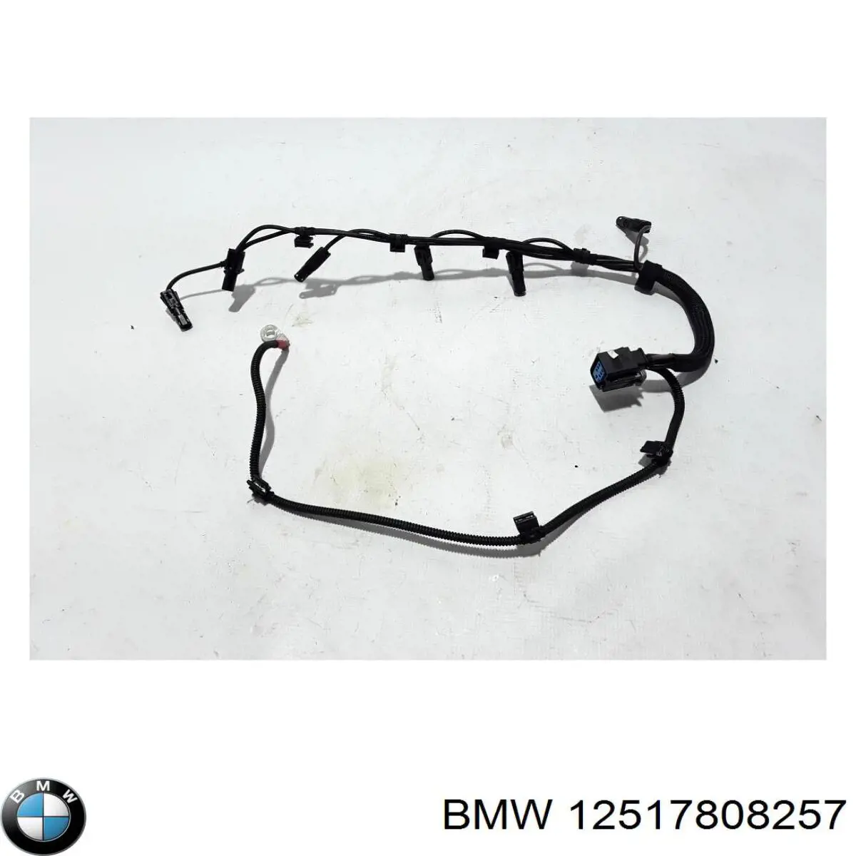  12517808257 BMW