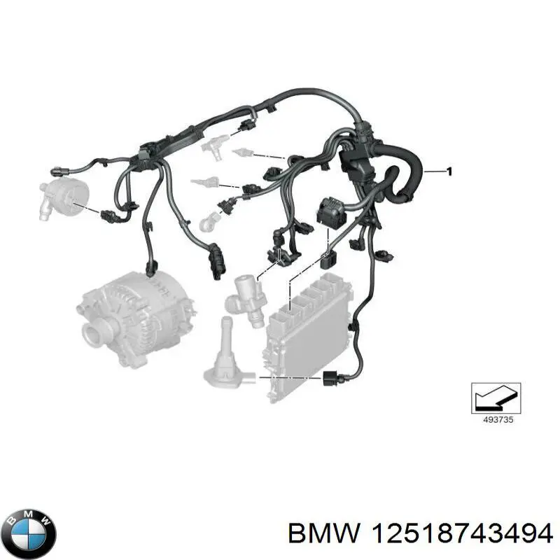 12518743494 BMW 