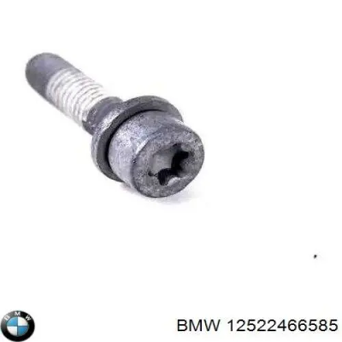 Купить 12520007171 BMW 