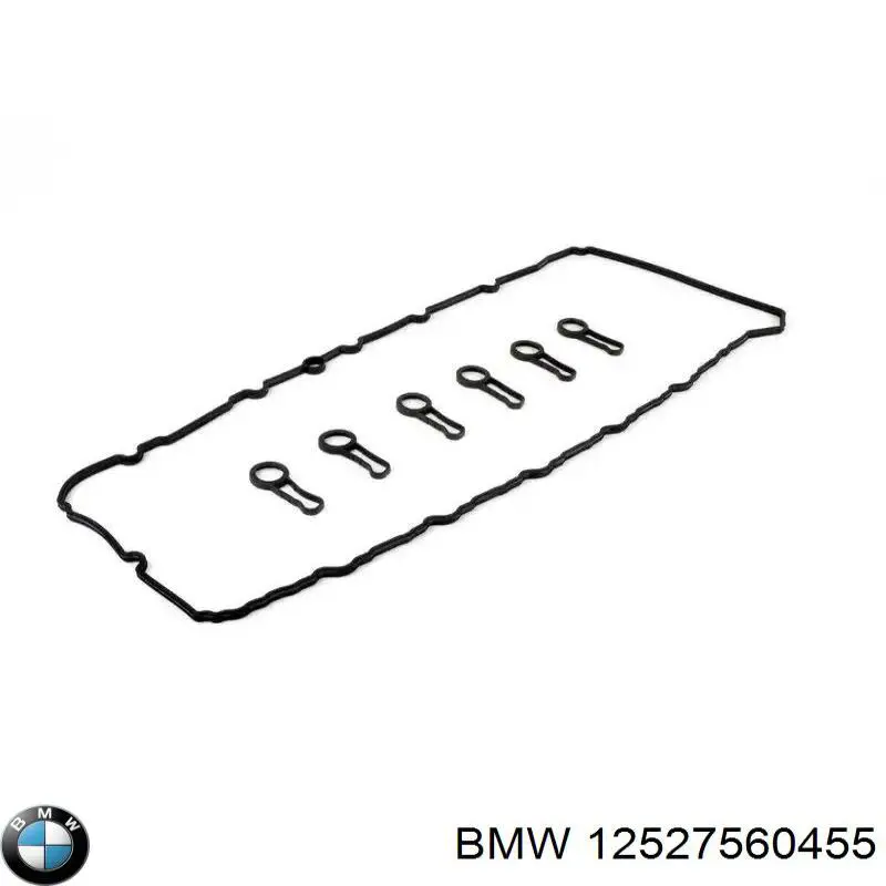  12527560455 BMW