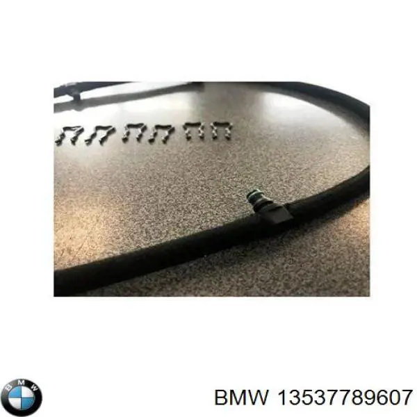 Tubo De Combustible Atras De Las Boquillas 13537789607 BMW