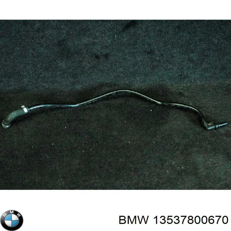  13538511812 BMW