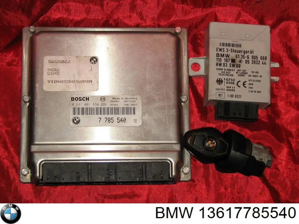13617785540 BMW Мозги двигателя