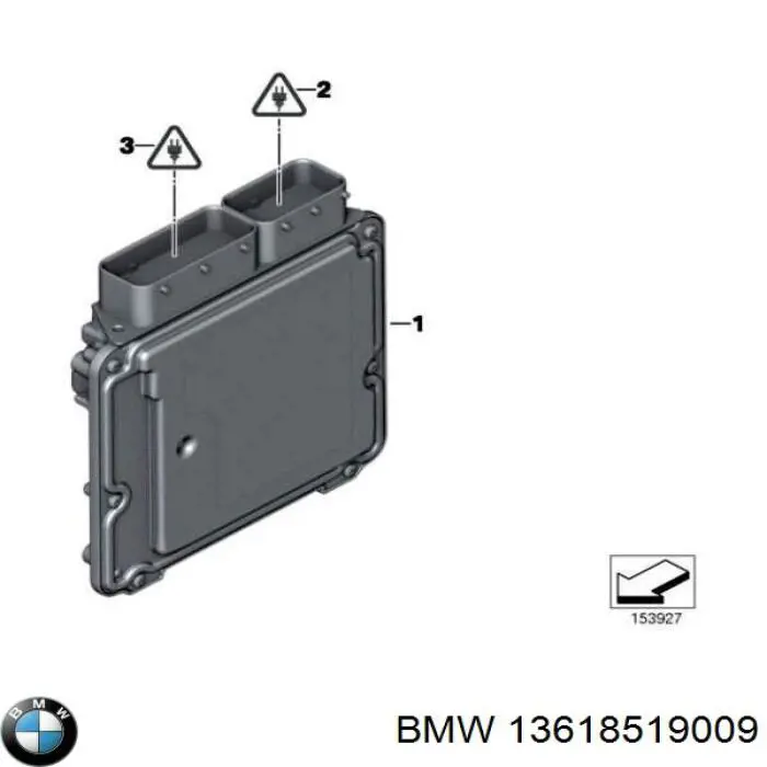 13618574352 BMW Мозги двигателя