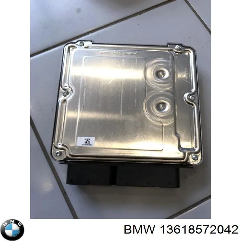 13618572042 BMW Мозги двигателя