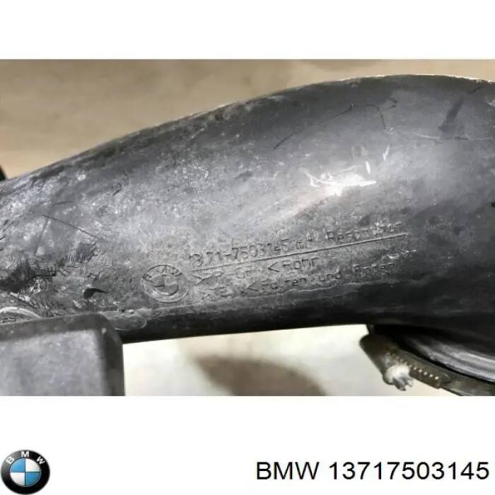  13717503145 BMW