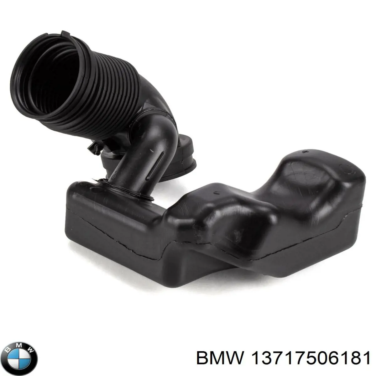13717506181 BMW Resonador, filtro de aire original y equivalente