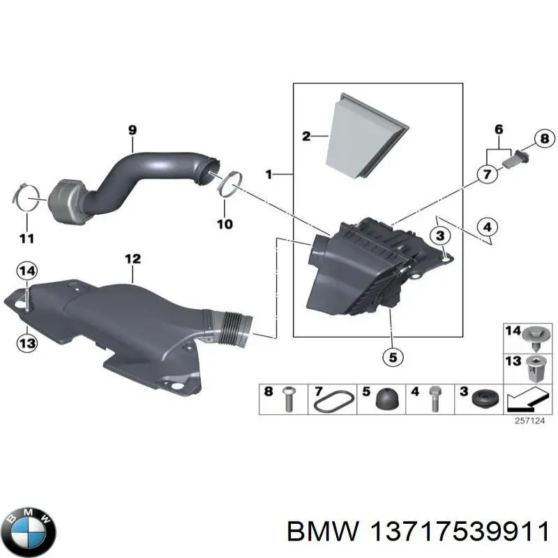 13717539911 BMW anel (arruela do injetor de ajuste)