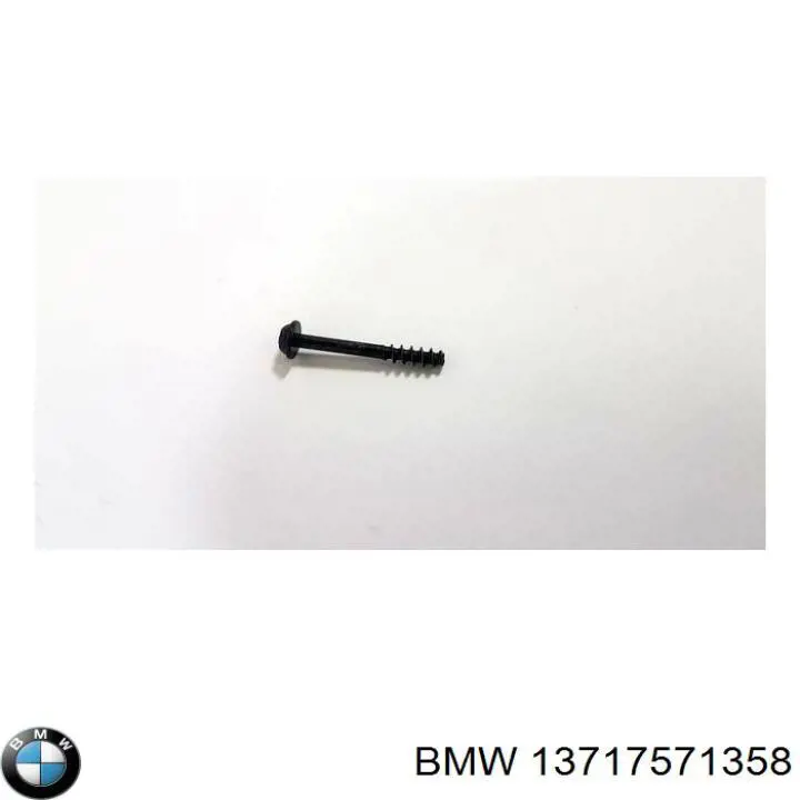  13717571358 BMW