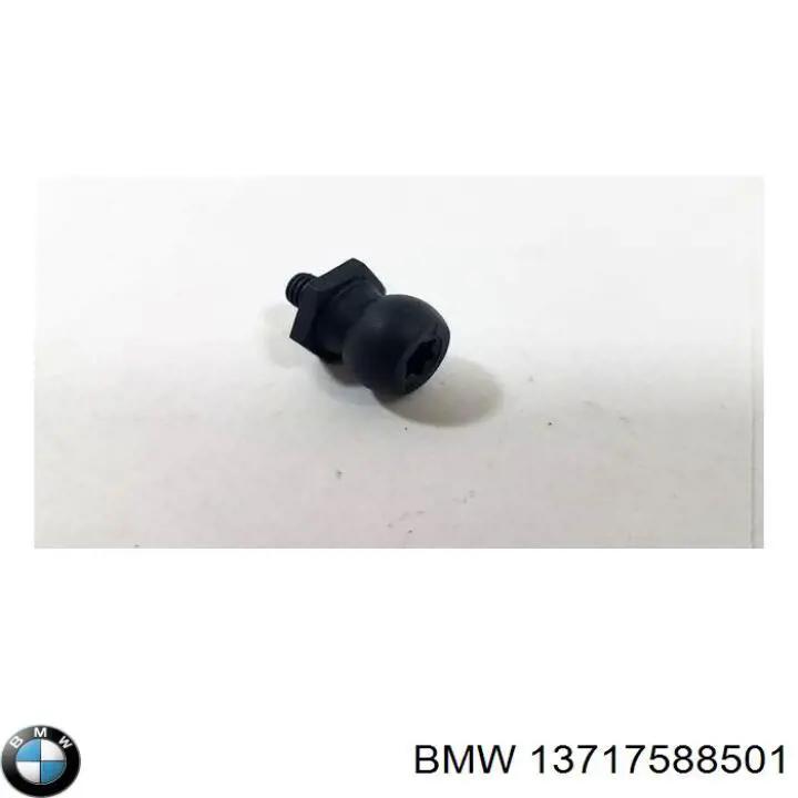 13717588501 BMW 